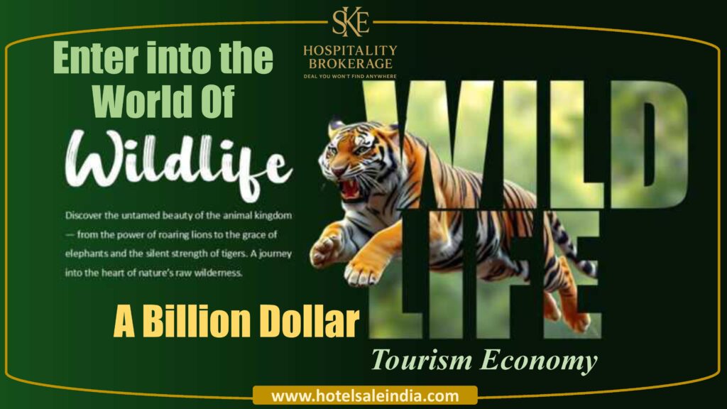 Resort Sale Tiger Reserve India