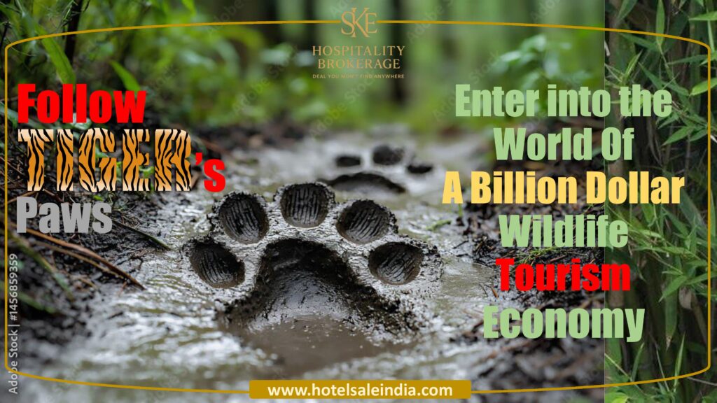 Investment Opportunities Tiger Reserve   |   National Park   |  Wildlife Sanctuary